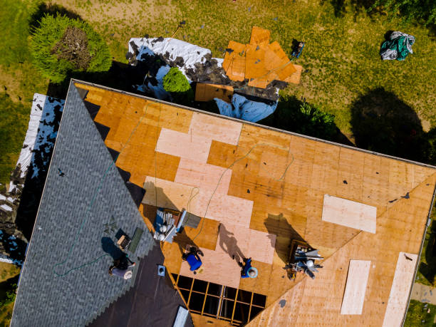 Best Roof Repair Services  in Hahnville, LA